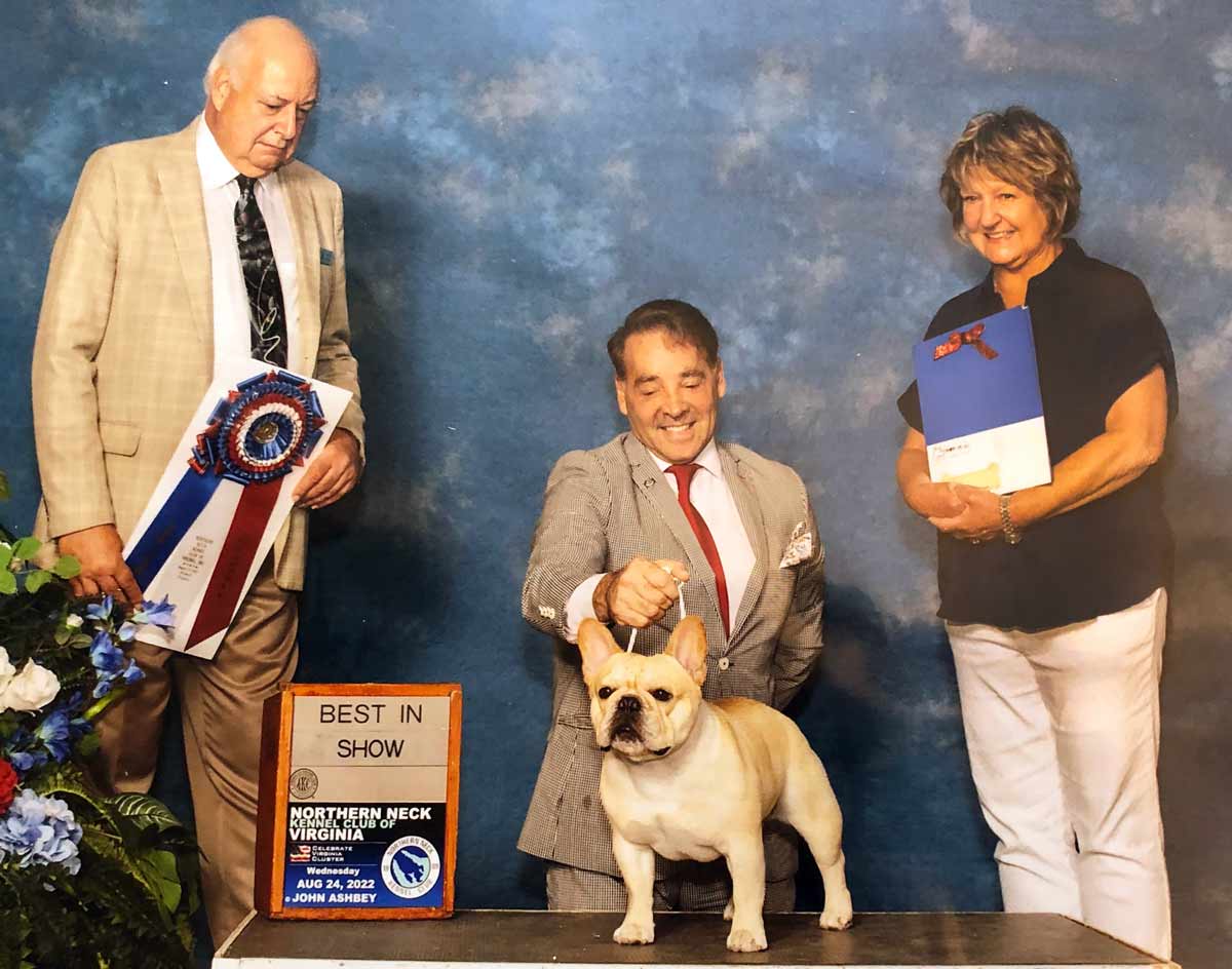 northern neck kennel club dog show winner
